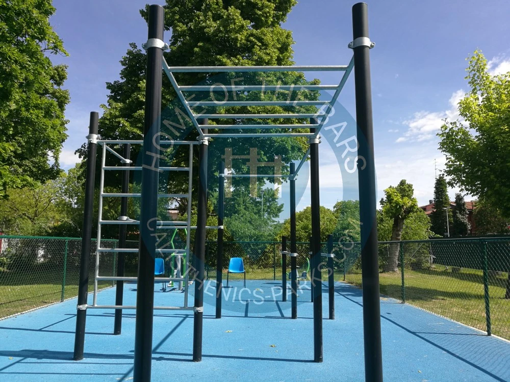 Calisthenics park in Polivalente 87 e Gino Pini, Viale Pio La Torre, Rotonda, Buon Pastore-Sant'Agnese-San Damaso, Vaciglio, Modena, Emilia-Romagna, 41126, Italia
