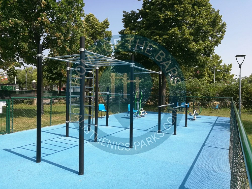 Calisthenics park in Polivalente 87 e Gino Pini, Viale Pio La Torre, Rotonda, Buon Pastore-Sant'Agnese-San Damaso, Vaciglio, Modena, Emilia-Romagna, 41126, Italia