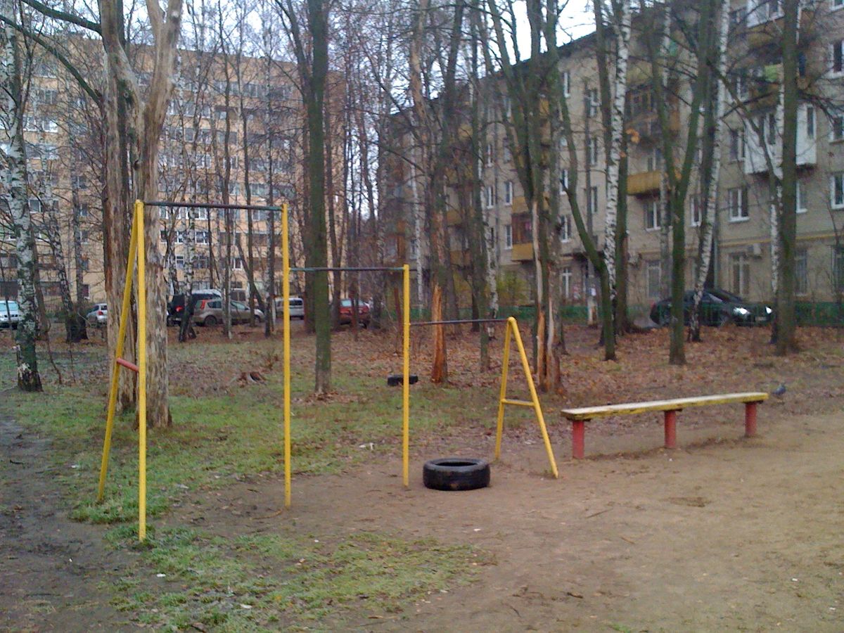 Calisthenics park in 20А, Школьная улица, СГШ, Красногорск, городской округ Красногорск, Московская область, Центральный федеральный округ, 143402, Россия