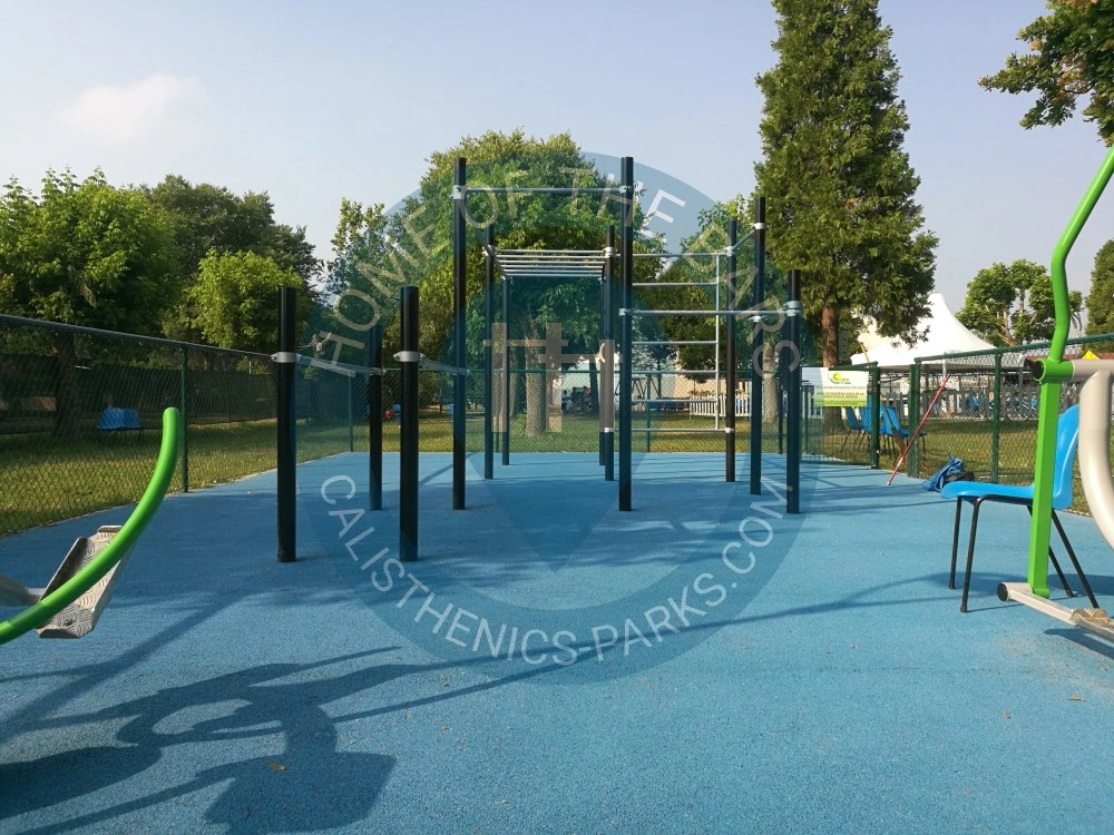 Calisthenics park in Polivalente 87 e Gino Pini, Viale Pio La Torre, Rotonda, Buon Pastore-Sant'Agnese-San Damaso, Vaciglio, Modena, Emilia-Romagna, 41126, Italia
