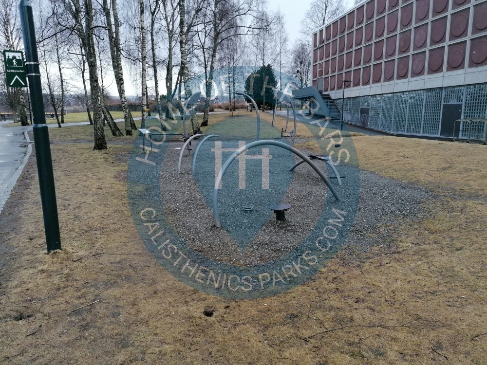 Public Pull Up Bars - Trondheim - Outdoor Fitness Trondheim - Norway - Spot