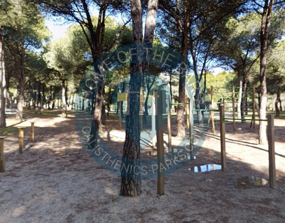 Public gym park - Las Rozas de Madrid - Calisthenics workout - Spain - Spot