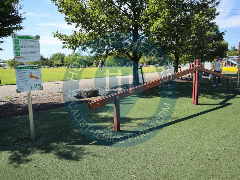 Calisthenics park in 本郷町一丁目, 碧南市, 愛知県, 475-0803, 日本