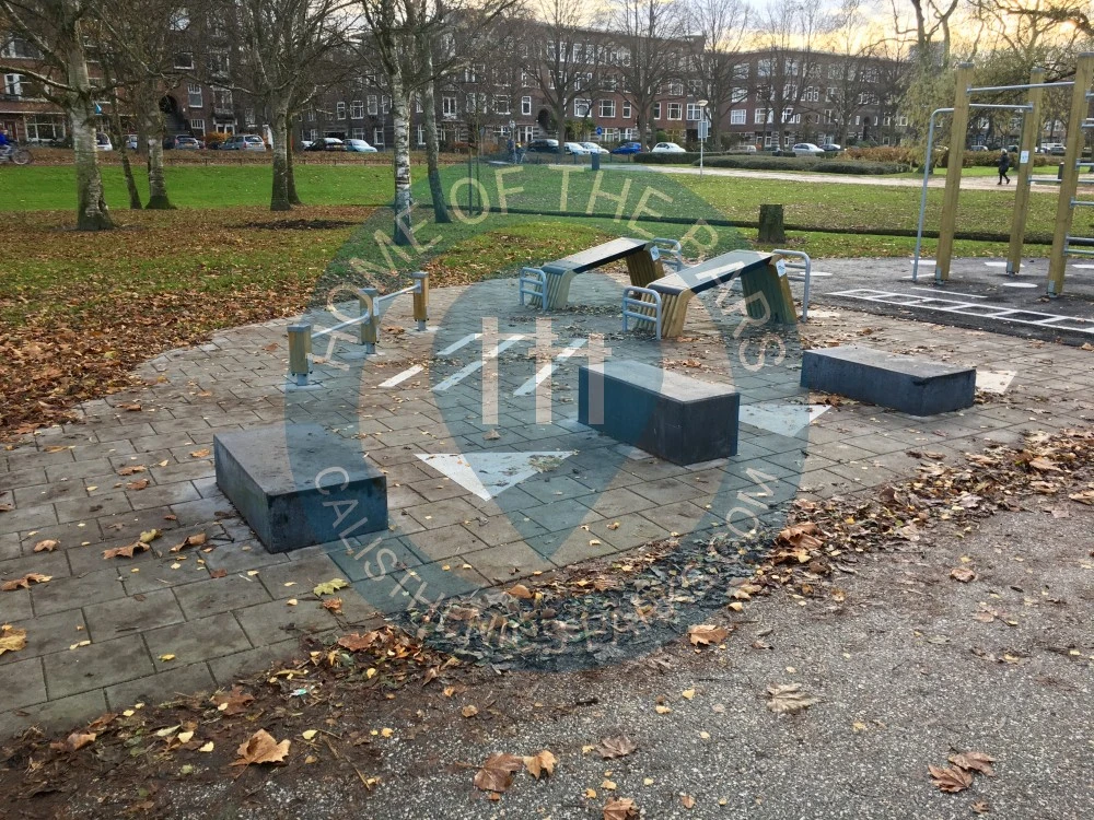 Calisthenics park in Bootcamp Vroesenpark, Vroesenlaan, Blijdorp, Noord, Rotterdam, Zuid-Holland, Nederland, 3039 DT, Nederland