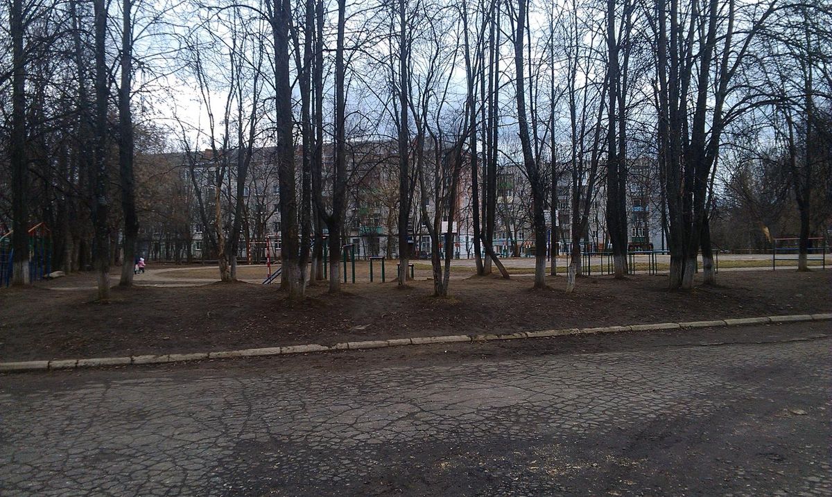 Outdoor Gym - Vladimir - Vladimir - Calisthenics Park - Дикси - Russia - Spot