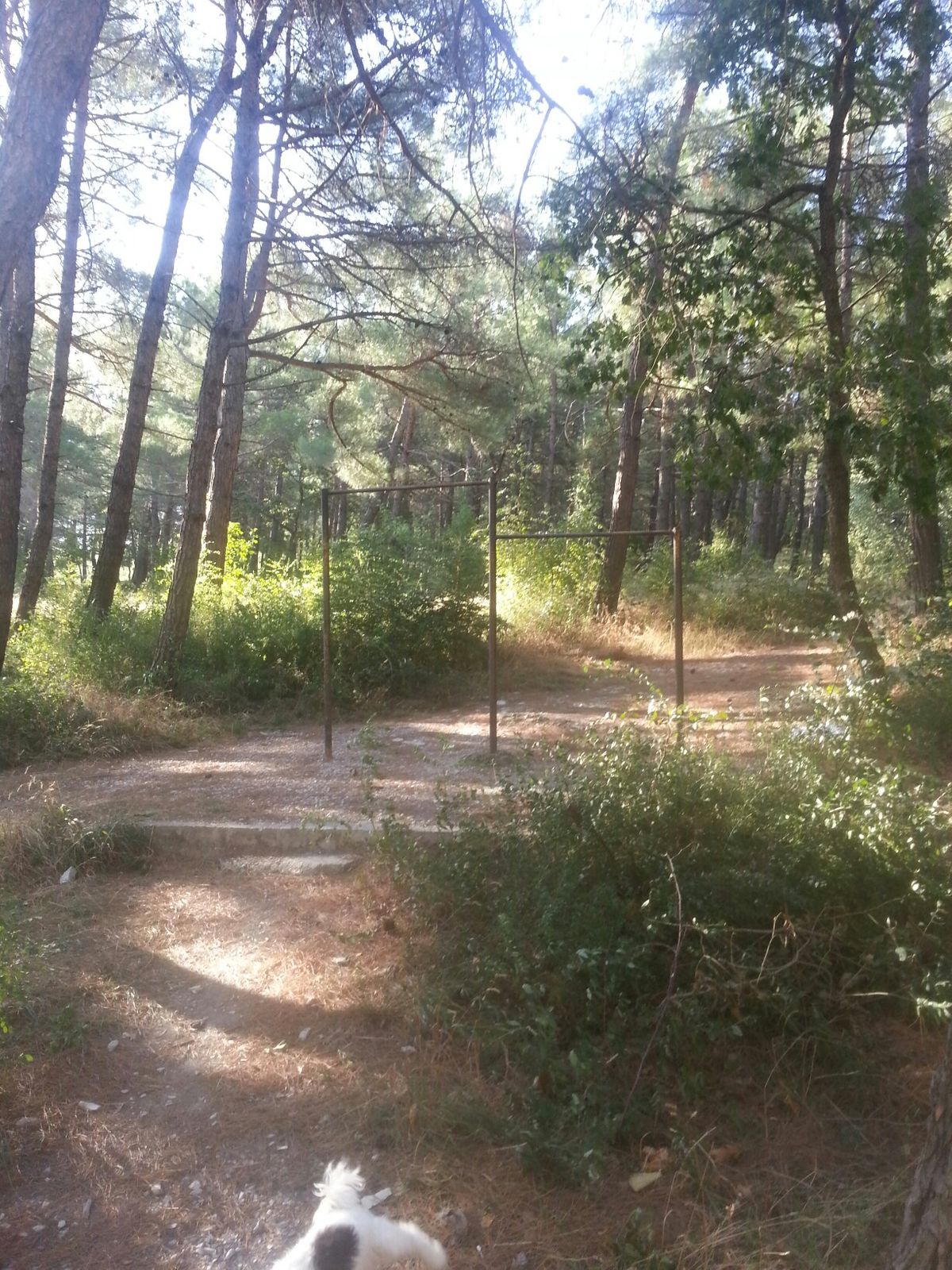 Calisthenics park in 35, улица Орджоникидзе, Магилат, Геленджик, городской округ Геленджик, Краснодарский край, Южный федеральный округ, 353475, Россия
