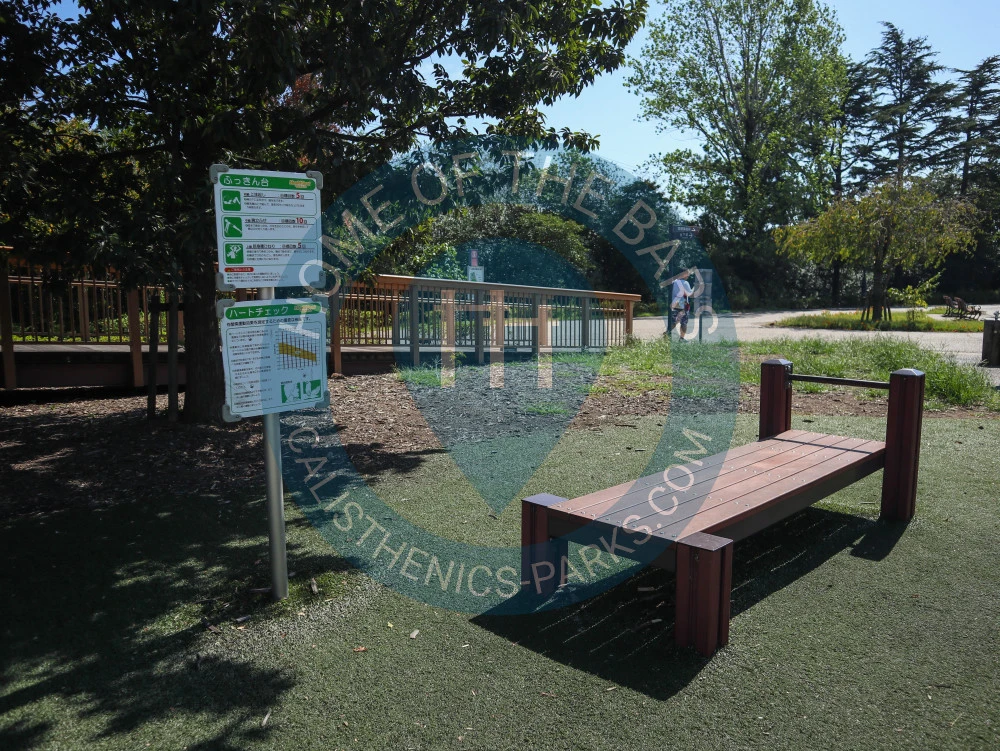 Calisthenics park in 本郷町一丁目, 碧南市, 愛知県, 475-0803, 日本