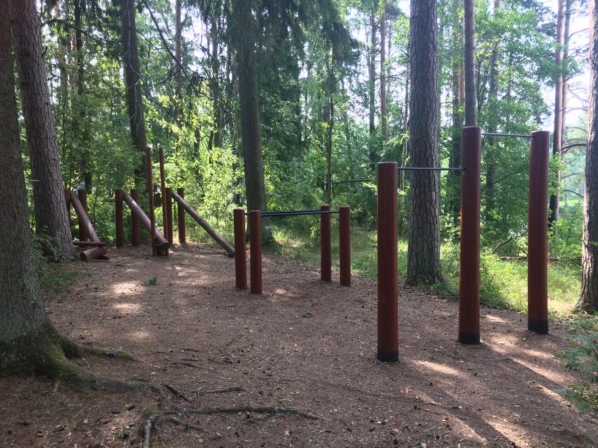 Outdoor Gym - Kurepalu - Kurepalu - Street Workout Park - Tõrvandi Roiu Uniküla - Estonia - Spot