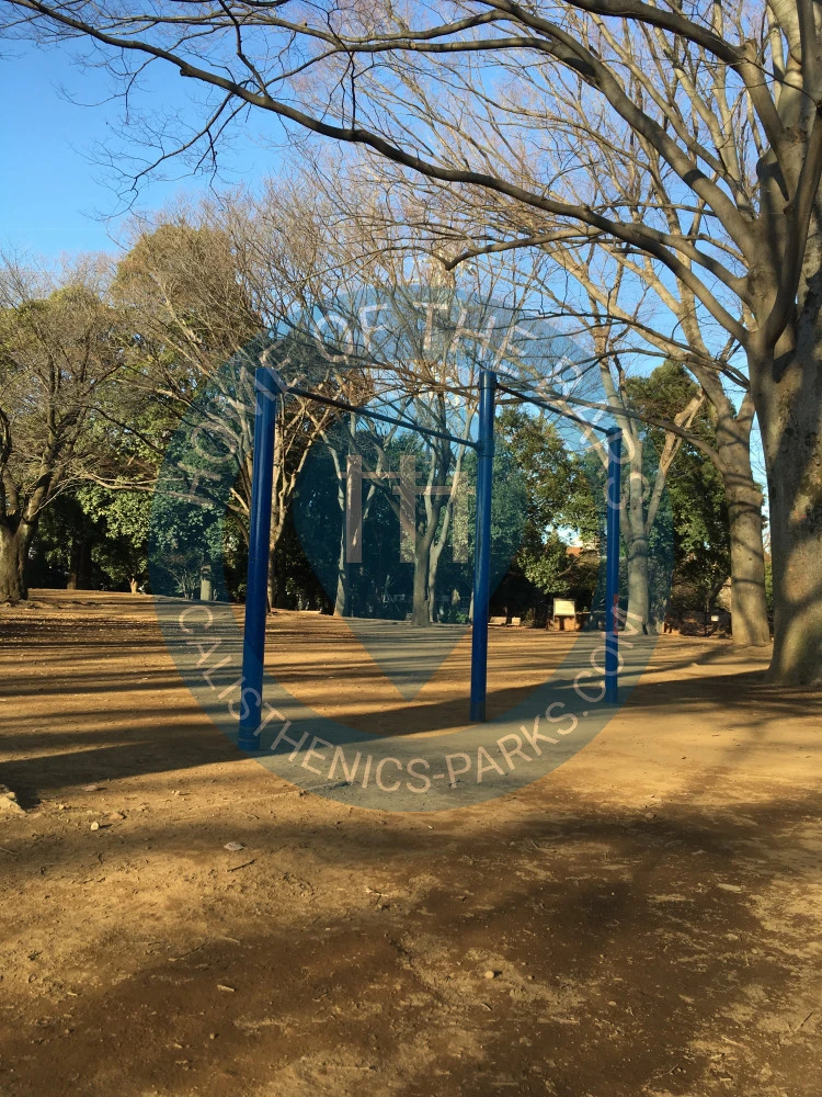 Tokyo - Outdoor Pull Up Bars - Komazawa Olympic Park - Japan - Spot