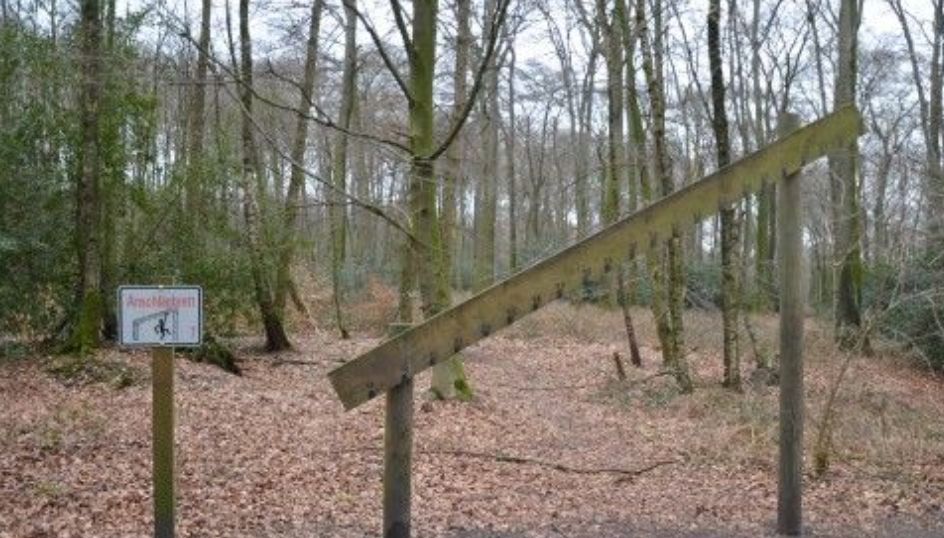 Bottrop - Fitness Trail - Koellnischer Wald - Germany - Spot