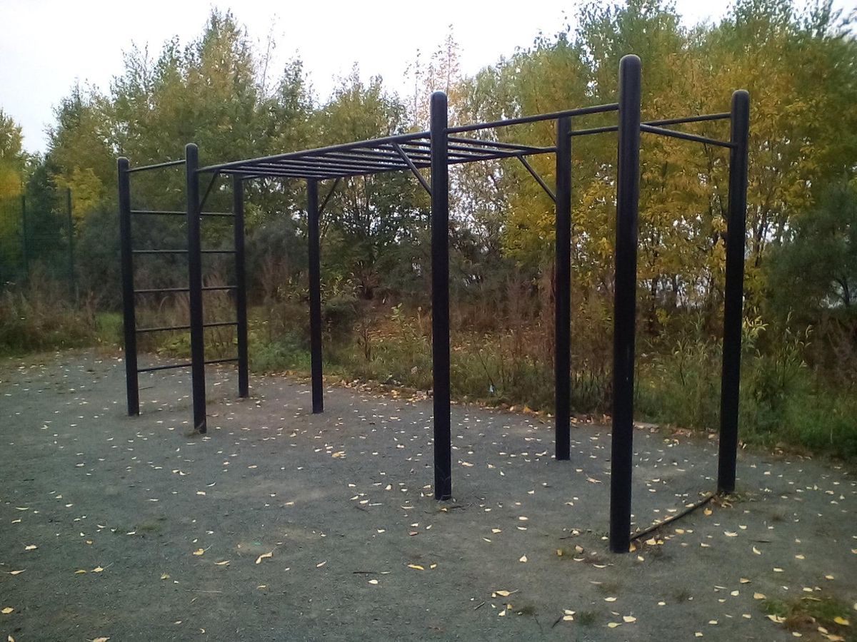 Fitness Park - Ozersky - Ozersky - Calisthenics Park - Пляж «Заозёрный» - Russia - Spot
