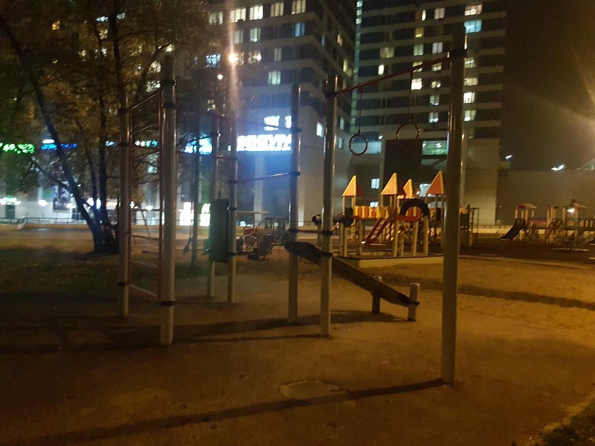 Outdoor Gym - Moscow - Moscow - Outdoor Gym - Качельки - Russia - Spot