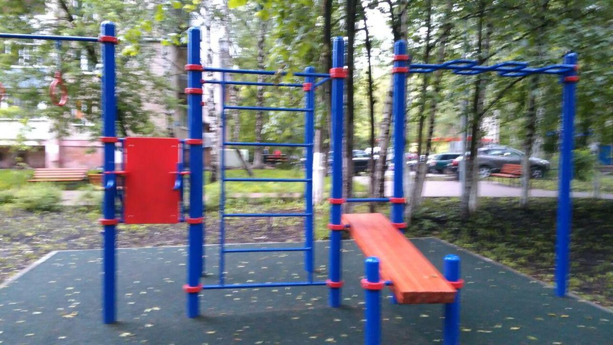 Calisthenics park in 1А, Железнодорожная улица, СГШ, Красногорск, городской округ Красногорск, Московская область, Центральный федеральный округ, 143402, Россия