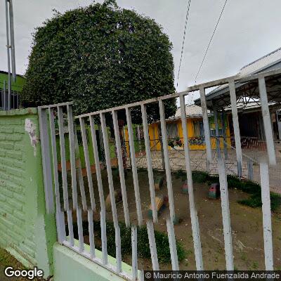 Trim Trail - Curepto - Barras Parque Los Grillos - Chile - Spot