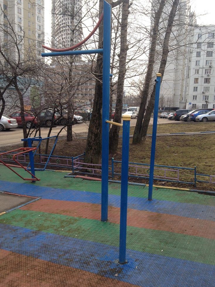Calisthenics park in 45, улица Архитектора Власова, Обручевский район, Москва, Центральный федеральный округ, 117393, Россия