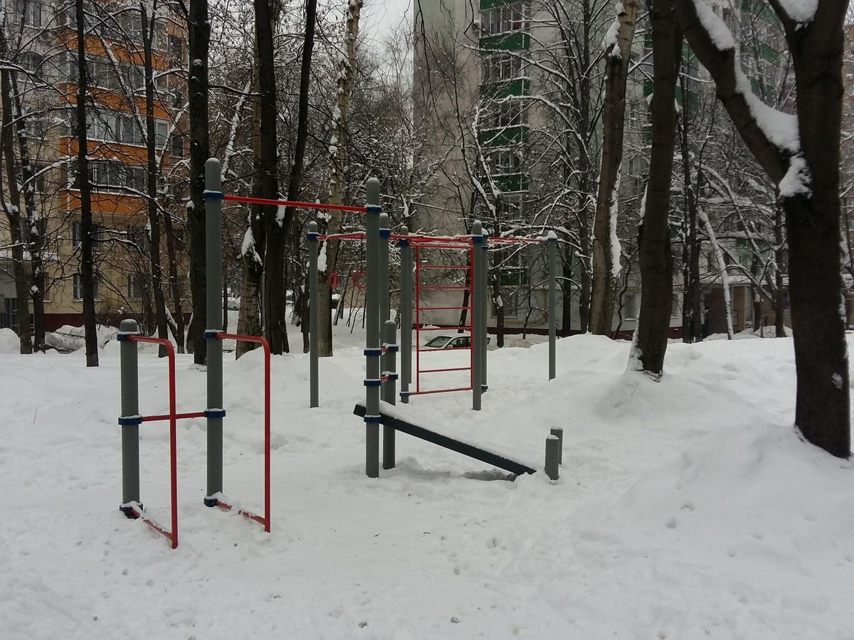 Calisthenics park in 9, Кавказский бульвар, район Царицыно, Москва, Центральный федеральный округ, 115304, Россия