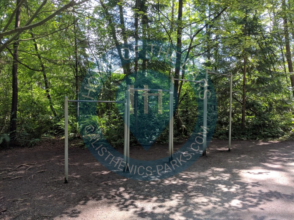 Calisthenics Facility - Burnaby - Pull up bar station Central Park - Canada - Spot