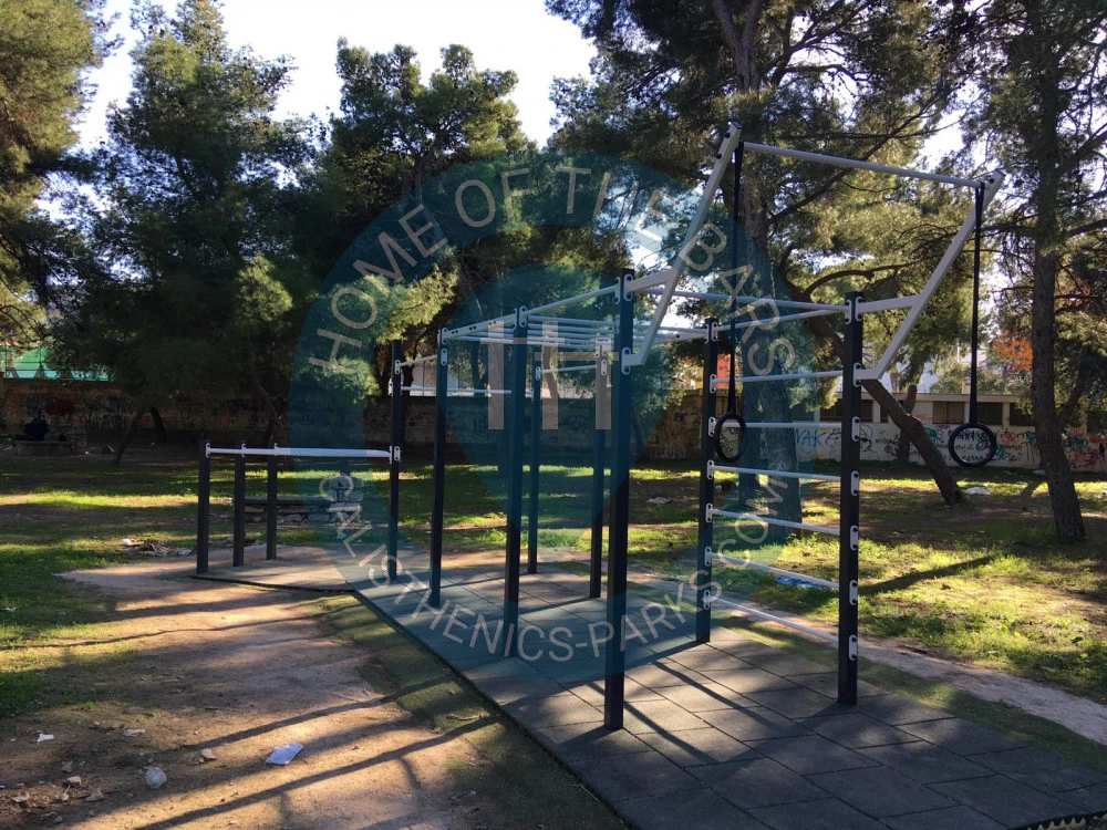 Calisthenics park in Distinti, Viale Pier Paolo Pasolini, Andria, Barletta-Andria-Trani, Puglia, 70031, Italia