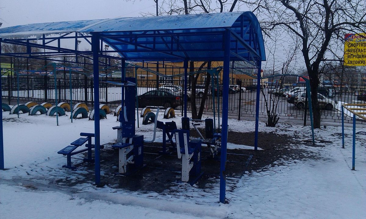 Bodyweight training - Vladimir - Calisthenics workout - Russia - Spot