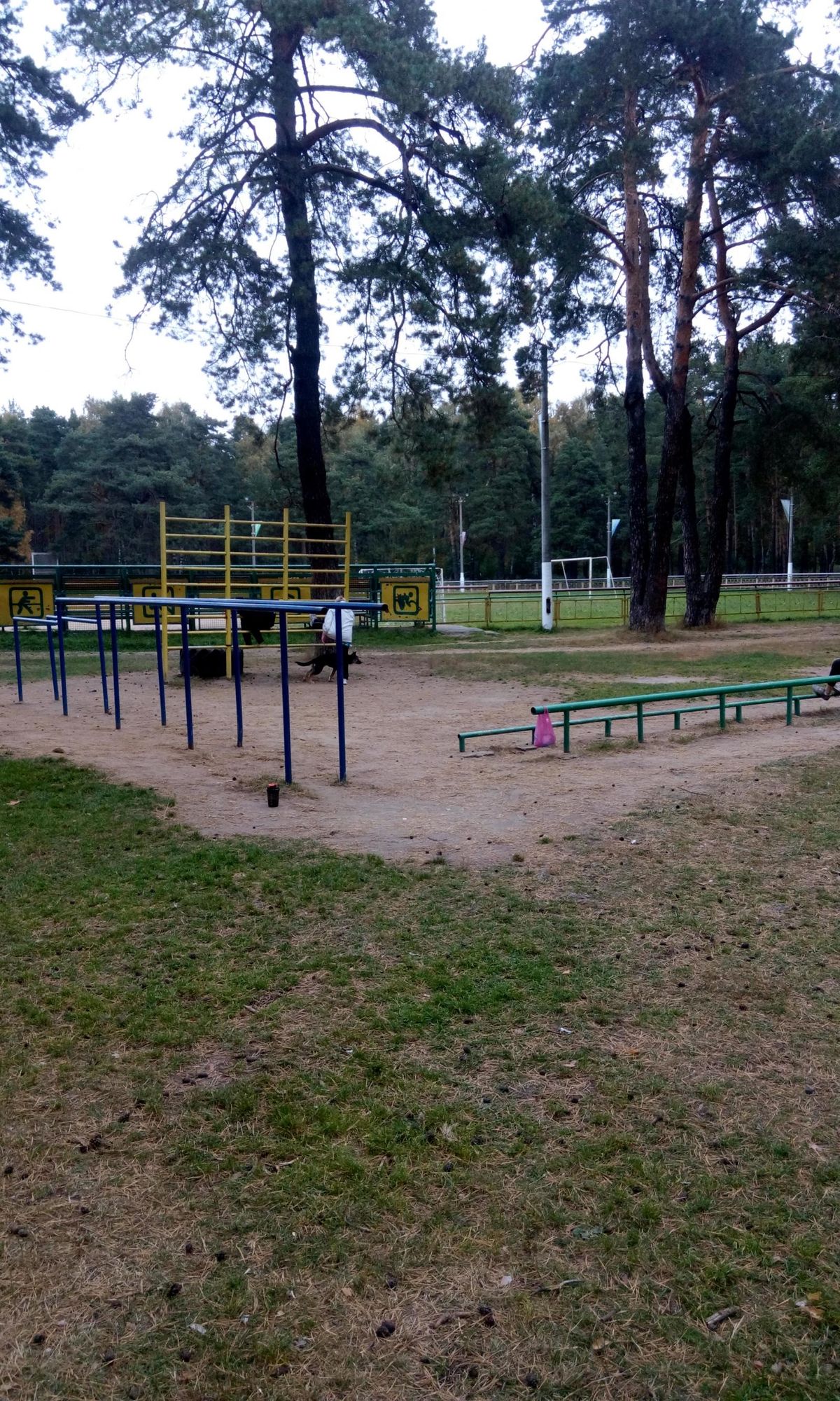 Calisthenics park in 1 к3, Сосновая улица, микрорайон Белая Дача, Котельники, городской округ Котельники, Московская область, Центральный федеральный округ, 140055, Россия