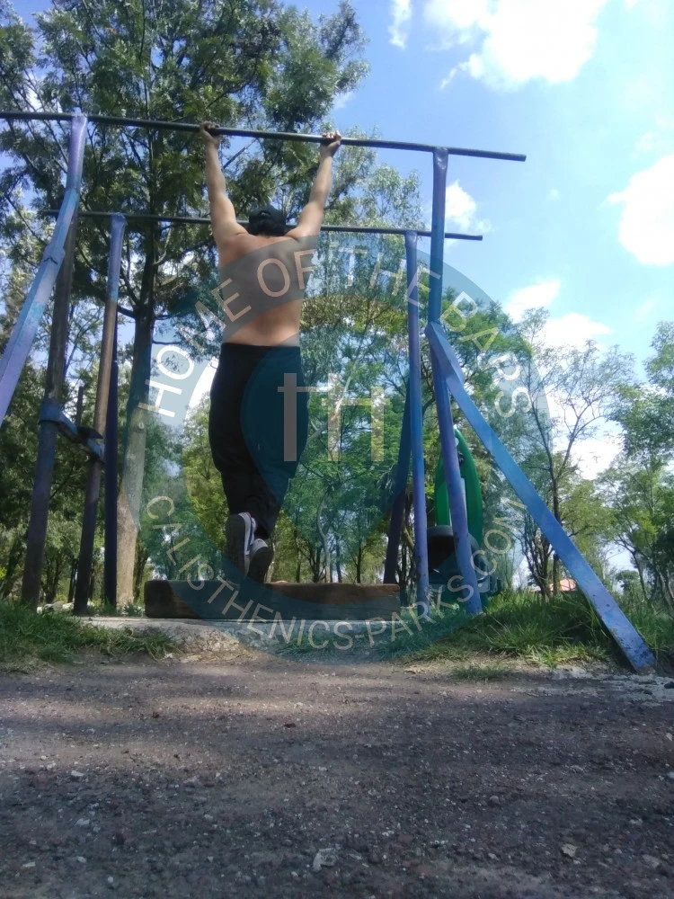 Fitness Trail - Mexico City - Barras bosque de aragon - Mexico - Spot
