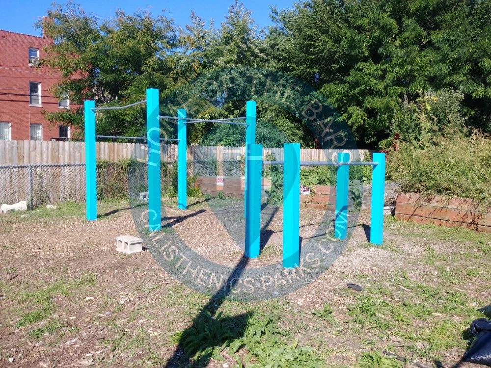 Calisthenics park in 229, North Sacramento Boulevard, East Garfield Park, Chicago, Cook County, Illinois, 60612, United States
