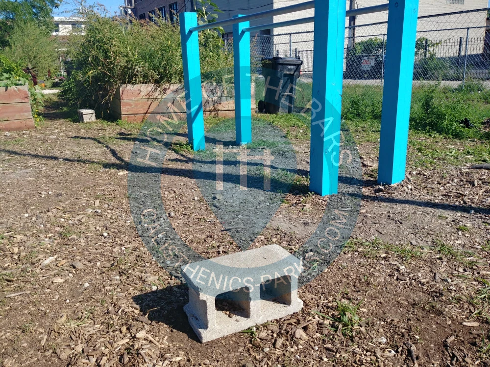 Calisthenics park in 229, North Sacramento Boulevard, East Garfield Park, Chicago, Cook County, Illinois, 60612, United States